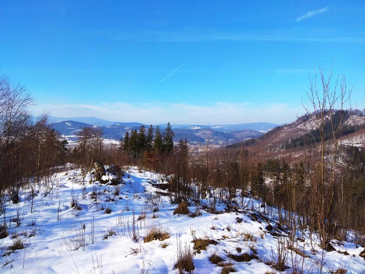 Pod Klonem Z Balia I Sauna Любавка Экстерьер фото