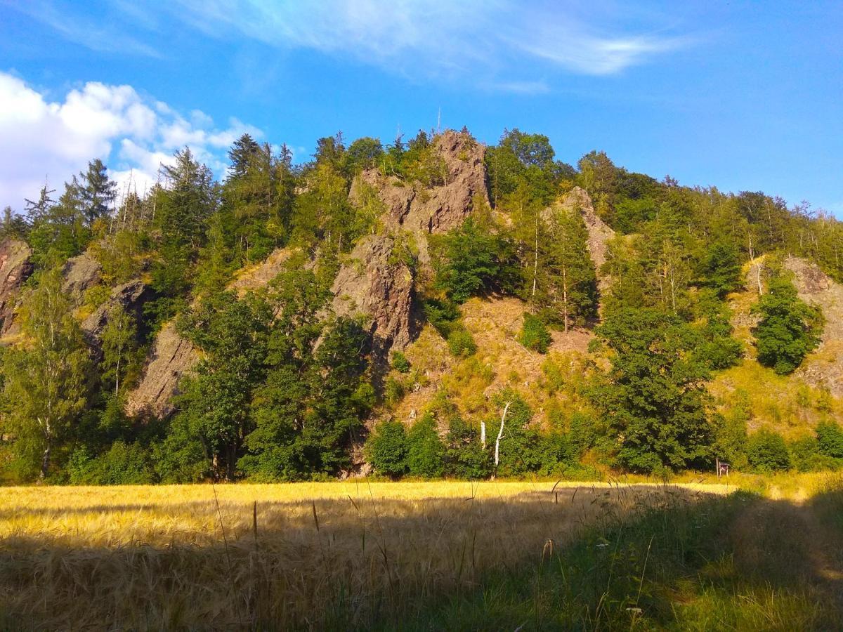Pod Klonem Z Balia I Sauna Любавка Экстерьер фото
